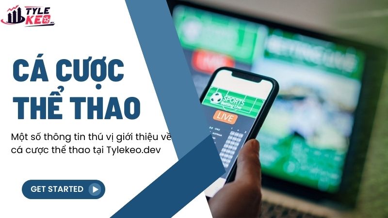 Một số thông tin thú vị giới thiệu về cá cược thể thao tại thecatsvolendam.nl